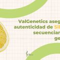 ValGeneticsSilkroad