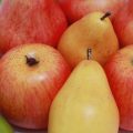 Manzana Pera