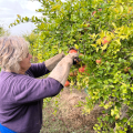 Agricultora Granada