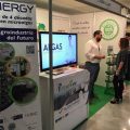 algaenergy