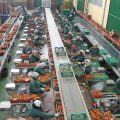 Almacén manipulado hortofrutícola
