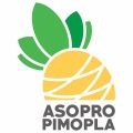 asopro