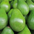 avocados-1081695_1920