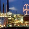 bayer