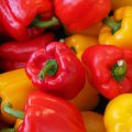 bell-peppers-499068_1920