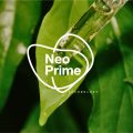 biología_plantprimers_veganic__prensa1