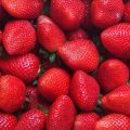 Fresas