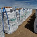 cebolla bigbags