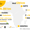 citrics_africa