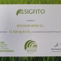 diploma sigfito