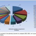 distribución varietal