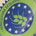 ecologico