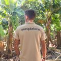 europlatano-web