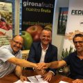 fedemco_girona_fruits_igp_poma_de_girona