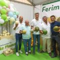 ferimel semillas fito