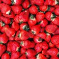 Fresas