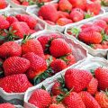 fresas