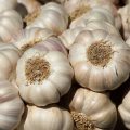 garlic-2097759_1920