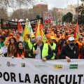 manifestación