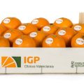 igp citricos valencianos