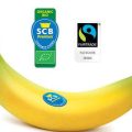 imagen-banana-bio-SCB