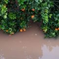 inundaciones