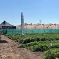 Jornadas melón Takii