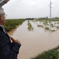 GRA252. ALBERIC (C. VALENCIANA) 19/12/2016.- Un agricultor observa un campo de naranjos totalmente inundado a su paso por la localidad valenciana de Alberic, tras las fuertes lluvias que están azotando la Comunitat Valenciana.EFE/ Juan Carlos Cárdenas