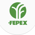 logo fepex