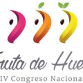 logotipo-iv-congreso