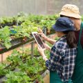 medium-shot-of-agronomists-taking-picture-of-strawberry-with-digital-tablet