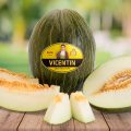 melon-piel-sapo-gourmet-vicentin-peris-premium