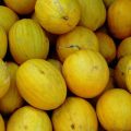 melones-de-ligamaza-en-el-mercado-moulay-idriss-zerhoun-marruecos-60257957