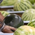 mercadona-sandia