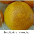 naranja valencia