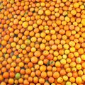 naranjas