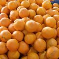 naranjas