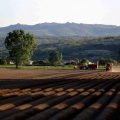 Rebordechá. 21-04-17. Provincia. Sementeira de patacas na Limia.
Foto: Xesús Fariñas