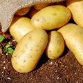 patatas-importacion