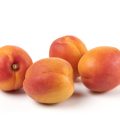 Peaches isolated on white background . High quality photo