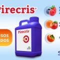 pirecris-web-e1732267107410