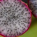 pitaya-3635772_1920-min