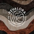 revalora-web