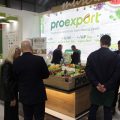 stand-de-Proexport-2024-scaled