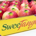 sweetango