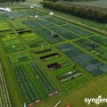 syngenta fields of innovation