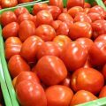 Rusia tomate importación marruecos