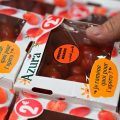 A vegetable producer, member of "Légumes de France" (Vegetables of France) association, sticks a label reading "Moroccan origin" on a box of cherry tomatoes during an action to protest against the over-representation of imported products at a supermarket in Pace, outside Rennes, on April 26, 2024. (Photo by Damien MEYER / AFP)