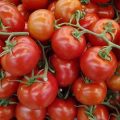 tomates2-640x359