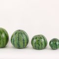 watermelon-715608_1920